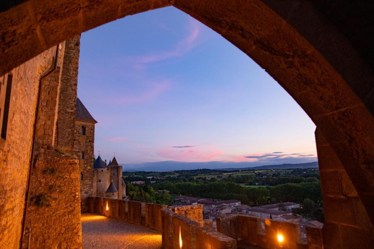 Tout confort ! Calme, Climatisation, Piscine, Parking Gratuit, Grande Terrasse, Netflix, Wifi Carcassonne Esterno foto