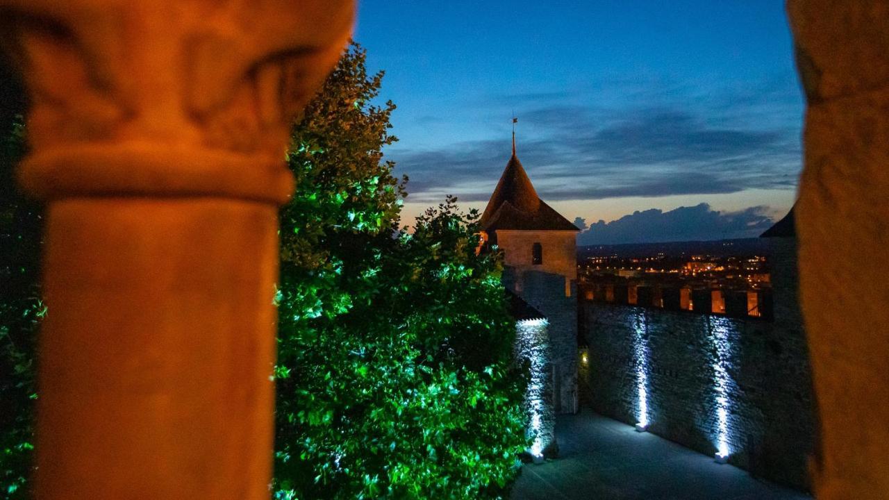 Tout confort ! Calme, Climatisation, Piscine, Parking Gratuit, Grande Terrasse, Netflix, Wifi Carcassonne Esterno foto