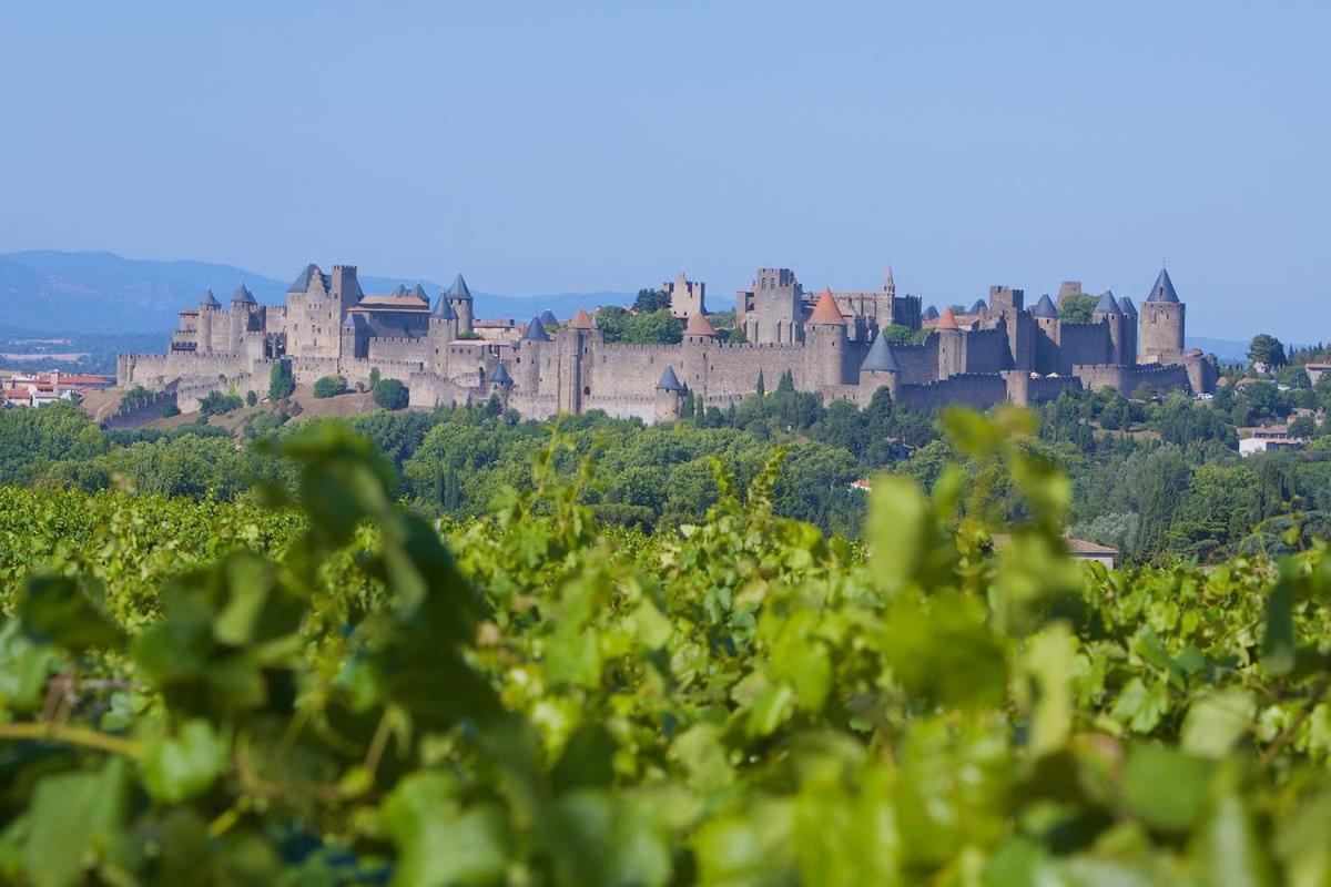 Tout confort ! Calme, Climatisation, Piscine, Parking Gratuit, Grande Terrasse, Netflix, Wifi Carcassonne Esterno foto